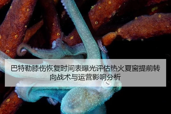 巴特勒膝伤恢复时间表曝光评估热火夏窗提前转向战术与运营影响分析