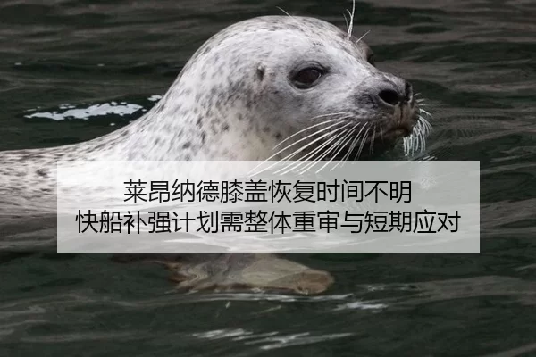 莱昂纳德膝盖恢复时间不明 快船补强计划需整体重审与短期应对