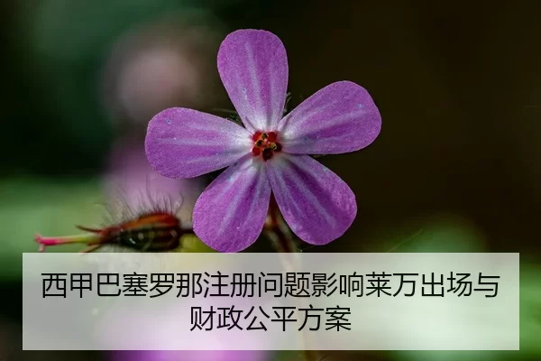 西甲巴塞罗那注册问题影响莱万出场与财政公平方案